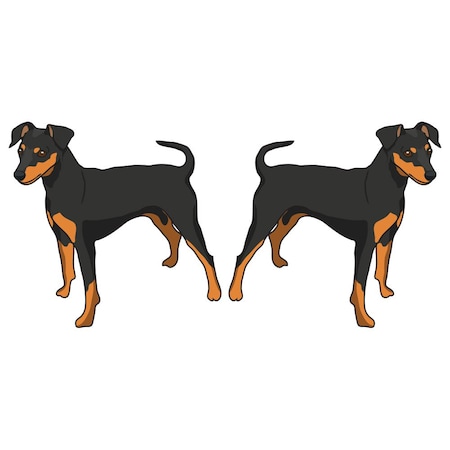 Signmission Miniature Pinscher Dog Decal, Dog Lover Decor Vinyl Sticker D-18-Miniature Pinscher